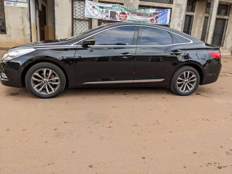 Hyundai Grandeur 2014