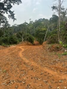 Terrain titré et loti