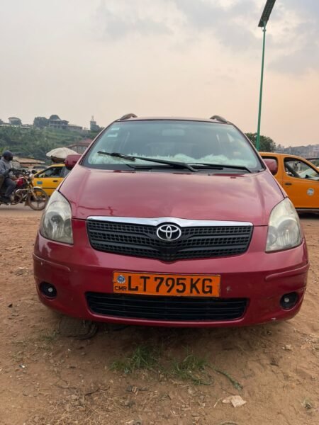 Corolla verso