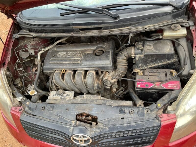 Corolla verso