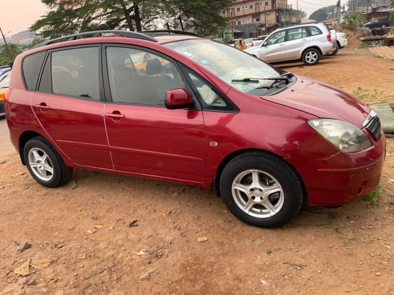 Corolla verso
