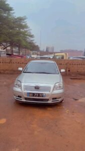 Toyota Avensis tête de cochon 2005