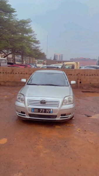 Toyota Avensis tête de cochon 2005