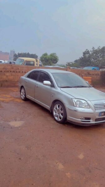 Toyota Avensis tête de cochon 2005