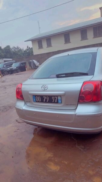 Toyota Avensis tête de cochon 2005