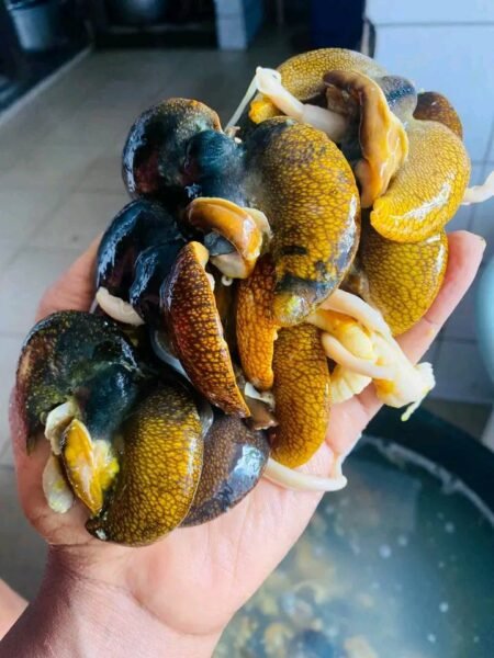 Escargots